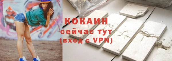 прущие грибы Волоколамск
