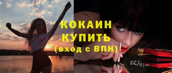 apvp Верея