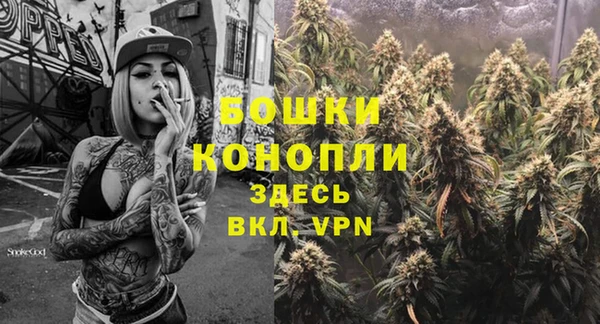 apvp Верея