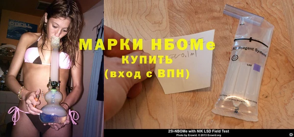 apvp Верея