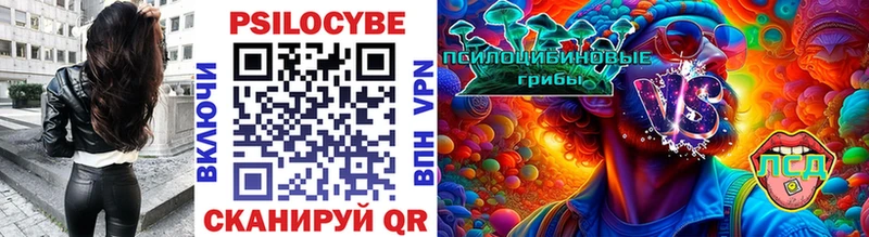 Галлюциногенные грибы мухоморы  Купить закладки  Чегем 